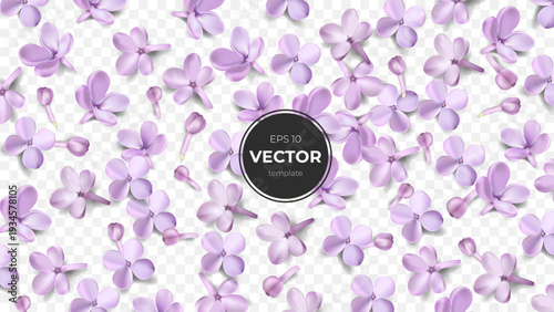 A vibrant pattern of lilac flowers arranged on a crisp white background.
