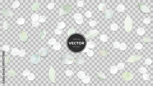 Elegant pastel flower petals scattered on a transparent background.