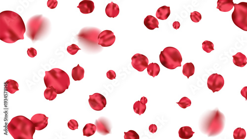Scattered red rose petals on a white background, creating a romantic ambiance.