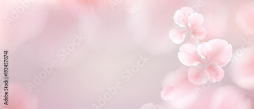 Delicate pink flowers softly blooming against a dreamy pastel background.