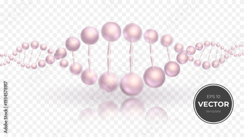 Elegant pink DNA double helix illustration on a translucent background.