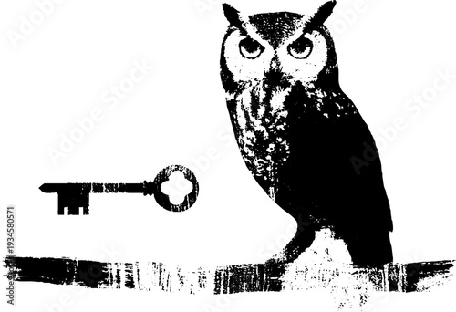 Mysterious owl and antique key in high contrast ink design for vintage decor