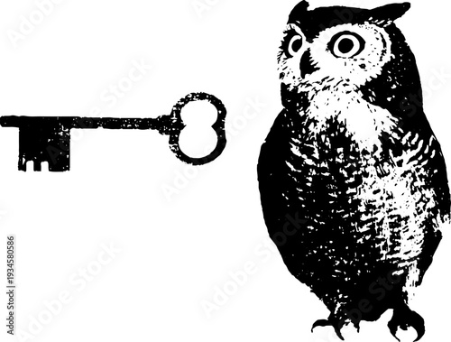 High contrast black and white owl with key ink illustration