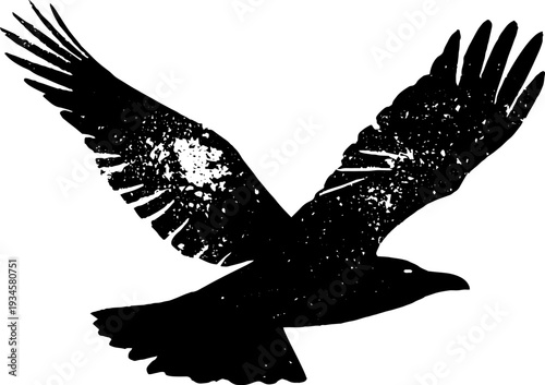 Mystical raven and star ink art - black and white high contrast design for print