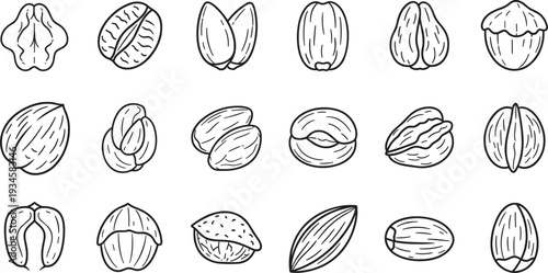 Assorted nuts line icon set, almond walnut pistachio hazelnut cashew outline collection, vector illustration