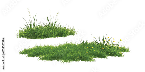 Two isolated patches of green grass, one with small yellow flowers, on a clean white background