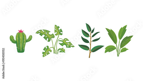 Digital collection of desert and garden plant illustrations featuring cactus, succulents, and ornamental greenery in modern style.