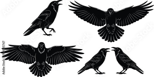Raven Silhouette Vector Illustration Set, Black Crow Birds in Flying and Perching Poses, Gothic Wildlife Black and White Clipart Collection