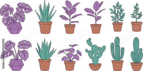 Potted houseplants collection with monstera, cactus and succulent plants, indoor decorative greenery vector illustration set