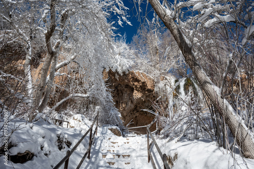 Fresh snow on tree branches overhanging trails in Rifle Falls State Park in Western Colorado on clear sunny winter morning.