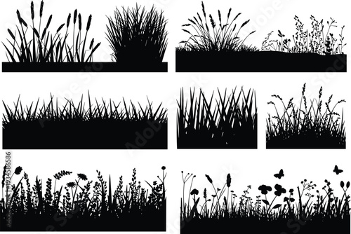 Grass and meadow plant silhouettes collection with wild flowers reeds weeds and foliage black vector illustrations isolated on white background for nature design use