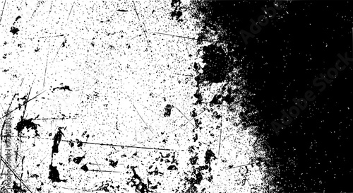 Branch with leaves and twigs in black and white texture background featuring nature, organic, sketch with line art and