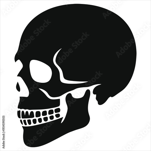 Minimalist black human skull side profile silhouette vector art, monochrome gothic horror stencil design element, isolated death symbol for tattoo, Halloween projects, pirate emblems, cut files, spook
