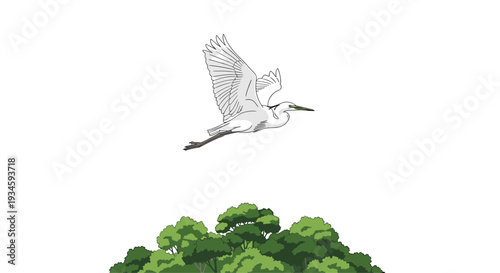 A white egret with outstretched wings is illustrated flying above a cluster of green trees on a clean white background.