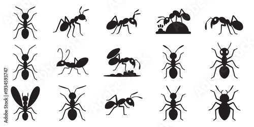 Set of black ants flat style icon collection in a row isolated on white background. vector illustration