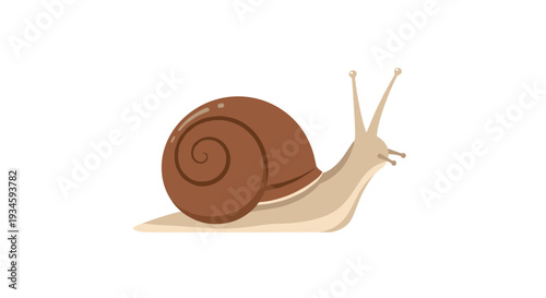 A brown snail with a prominent spiral shell is depicted in profile, moving slowly across a plain white background.