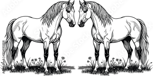Two Horses Facing Each Other Vector Illustration, Hand Drawn Engraving Style Equine Line Art with Grass, Black and White Vintage Design