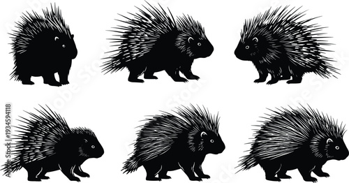 Porcupine silhouette illustration, wild animal vector, spiky quills design, forest rodent art, wildlife mammal graphic, cartoon style drawing, nature symbol image