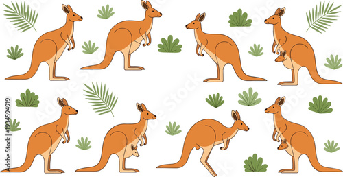 Cute Kangaroo Cartoon Set with Different Poses and Baby Joey Australian Wildlife Vector Illustration