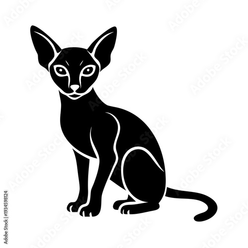 Black oriental cat silhouette with prominent big ears. Shorthair feline displays elegant posture and slender body, highlighting unique oriental cat breed characteristics.