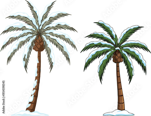 Snow covered palm trees, tropical winter landscape, unusual weather phenomenon, frozen exotic plants, snowy palm trunks, rare climate contrast, cold tropical scenery