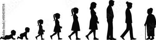 Silhouette, human, life, stages, growth, aging, baby, child, teenager, adult, elderly, profile, evolution, timeline, development, people, age, concept, progression, maturity