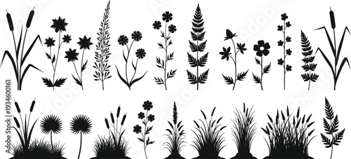 Silhouette plants, wildflowers, grasses, ferns, botanical illustration, nature design, floral elements, meadow vegetation, black silhouettes, decorative plants, garden art