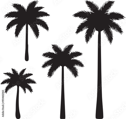 Black Silhouette Palm Trees Set – Tropical Island Vector Illustrations on White Background