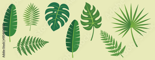 Assortment of lush green summer tropical leaves, including monstera, banana, and fan palm varieties, presented as solid vector illustrations on a light, neutral background for design purposes.