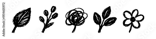 Set of hand-drawn botanical doodles featuring leaves, flowers, and branches in a minimalist black ink sketchy style. Vector illustration.