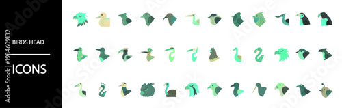Collection of diverse bird heads in modern minimalist style