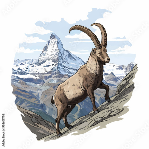 Alpine ibex standing on a rocky mountain with Matterhorn peak background vintage vector illustration