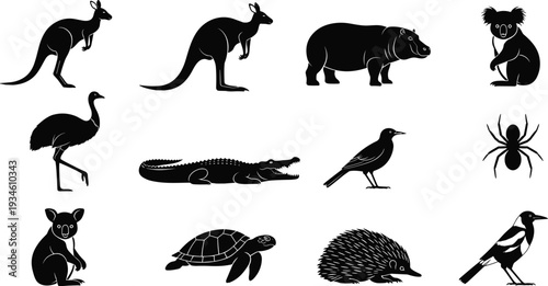 Australian animal silhouettes, twelve wildlife species, vector illustration design, native fauna graphics, nature art elements, biodiversity inspiration