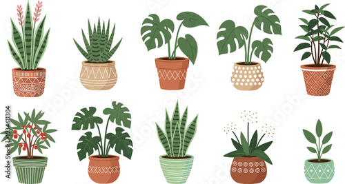 Collection of Indoor Potted Houseplants Vector Illustration Set with Decorative Pots, Tropical Foliage, and Modern Home Garden Plants
