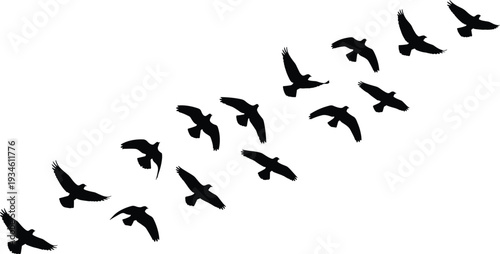 Bird silhouettes flying in diagonal formation, migratory flock vector illustration, wildlife motion design, nature graphics showing coordinated flight patterns
