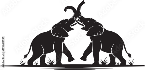 Two elephants in silhouette facing each other with trunks intertwined on grassy ground