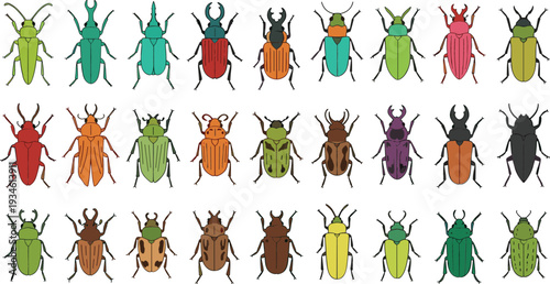 Colorful Beetle and Bug Collection Vector Illustration Set with Various Insect Species for Entomology and Nature Designs