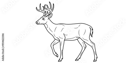 pronghorn silhouette line art vector illustration with a white background

