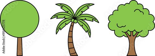 Cartoon vector illustration of three different tree types including round canopy tree, tropical palm tree with coconuts, and natural irregular shaped leafy tree design
