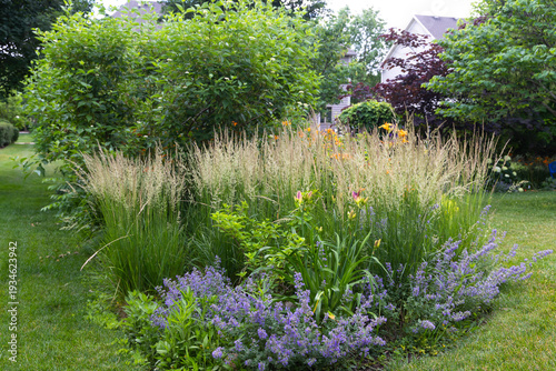 Tall, columnar, low maintenance and drought resistant, Karl Foerster Feather reed grasses are a beautiful living fence providing privacy and tranquility in this lush backyard retreat.  