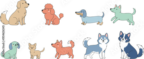 Playful cartoon vector illustration of ten different dog breeds including Golden Retriever, Poodle, Dachshund, Shiba Inu, Husky, and more in colorful friendly style