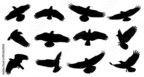 Flying bird silhouette vector set wild nature tattoo design EPS 10 isolated on white