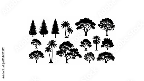 Tree Silhouettes Set Pine Palm Oak Forest Botanical Black Flat Vector Collection