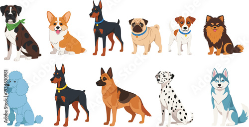 Large set of different dog breeds featuring corgi, boxer, doberman, pug, husky, dalmatian, poodle, and german shepherd, isolated flat vector 