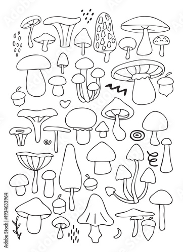 Collection of hand drawn mushrooms and forest elements isolated on light background. Various гриб shapes in simple black outline doodle style. Botanical vector illustration.