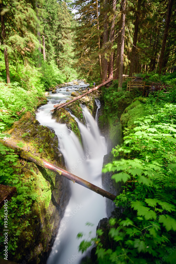 Naklejka premium Sol Duc Falls in Olympic National Park, Washington, USA