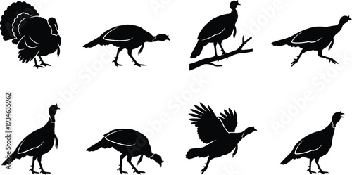 Silhouette vector illustrations of various turkey poses showcasing their unique characteristics and movements