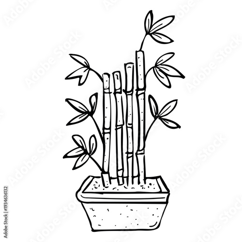 Hand-drawn bamboo plant in a pot. Black and white line art illustration has a calm, Zen mood. Represents nature, growth, and tranquility.