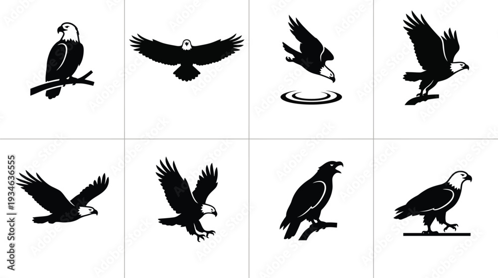 Fototapeta premium Vector illustrations of various eagle poses showcasing flight and hunting behavior