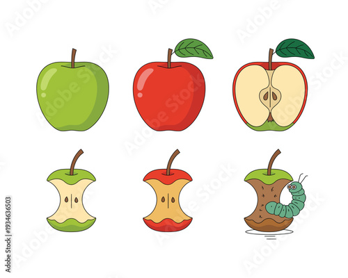 Illustrated stages of an apple being peeled and cored with a worm inside